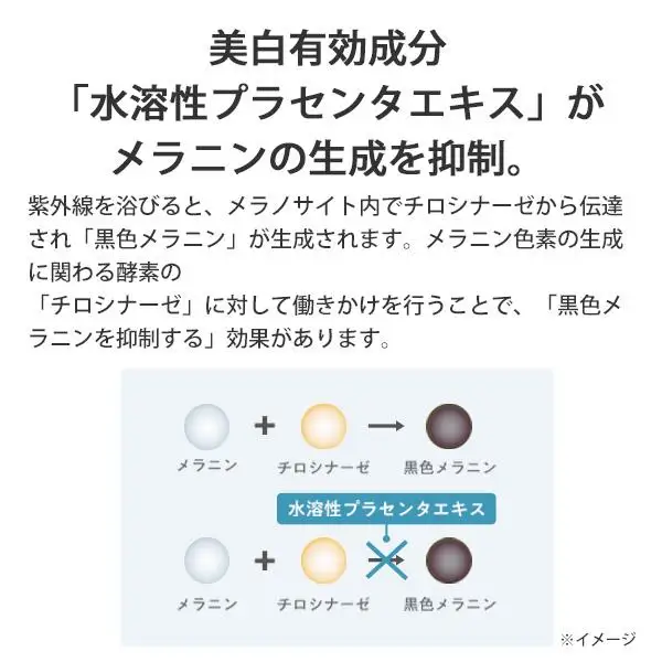 パーフェクトワン 薬用SPホワイトニングローション 120mL 新日本製薬 薬用 美白化粧水 | ふるさと納税 美容 化粧品 スキンケア おすすめ コスメ 化粧水 無添加 美白 保湿 紫外線 乾燥 ケア 人気 福岡市 送料無料 医薬部外品