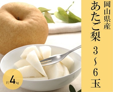 岡山県産 フルーツ定期便 4回コース【2026年産】