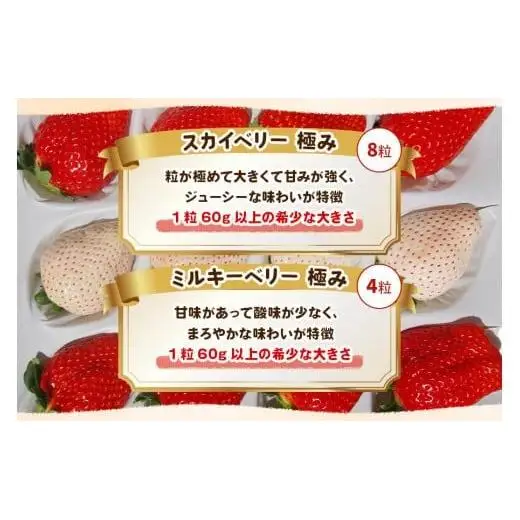 いちご スカイベリー 極み×ミルキーベリー 極み 12粒 【2027年 先行予約】