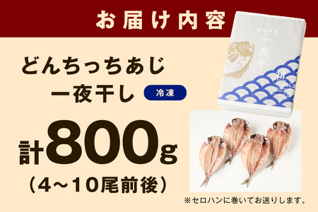 山陰浜田 創業大正10年香住屋のこだわり干物「どんちっちあじ一夜干し」魚介類 干物 おつまみ おかず あじ 一夜干し 【024_1992】