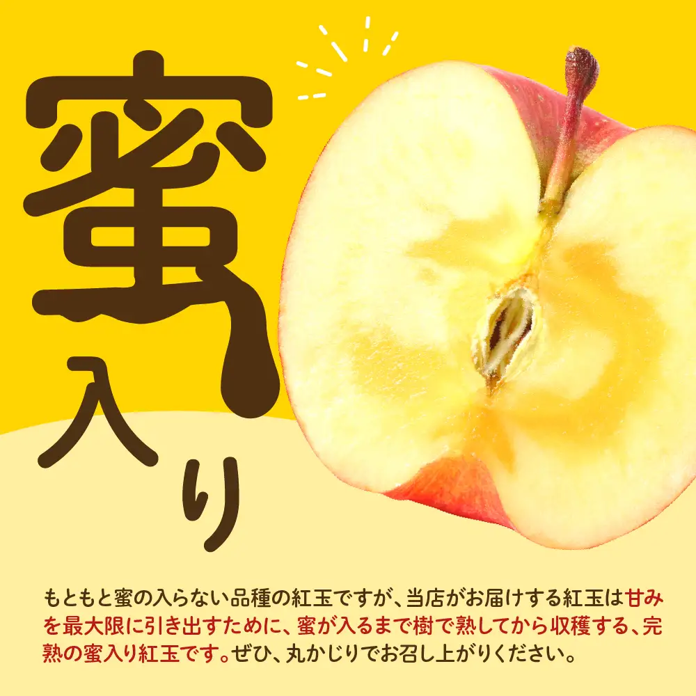 【先行予約】 令和8年産 紅玉 りんご 約2kg 舘山 りんご