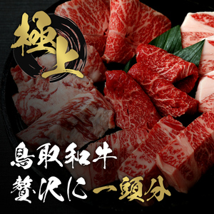 Y286 【和牛セレブ】鳥取和牛一頭分（12分割配送）
