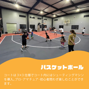 ゴリラパーク 体験チケット 一般 チケット体験チケット割引チケット割引券