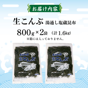 塩蔵 生こんぶ 2袋 (1.6kg) コンブ 昆布 海藻 海産物 海鮮 魚介 魚介類 おでん 煮物 三陸 岩手県 大船渡市
