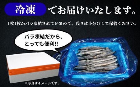 訳あり さんま 40尾 数量限定 増量 中 45尾 訳あって 【 さんま