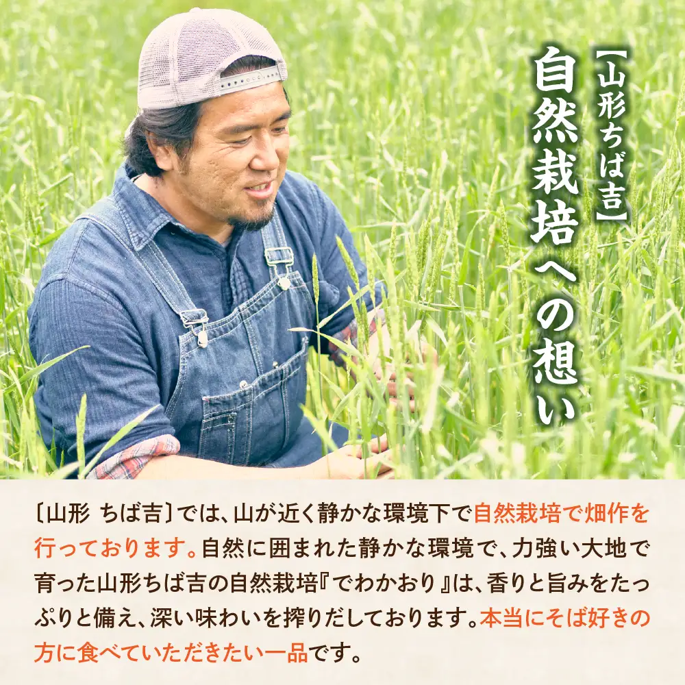 《 自然栽培 》 十割乾麺そば 3袋 計 600g ( 1袋 200g ) 蕎麦 小分け 田舎そば 乾麺 常温保存 麺類 麺 国産 自然栽培 でわかおり 山形ちば吉 山形県 米沢市