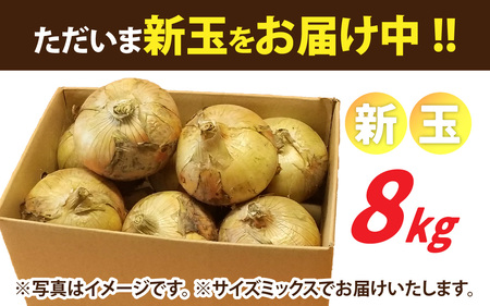 淡路島産 新玉 フルーツ玉ねぎ 8kg【サイズ色々】 / 玉ねぎ