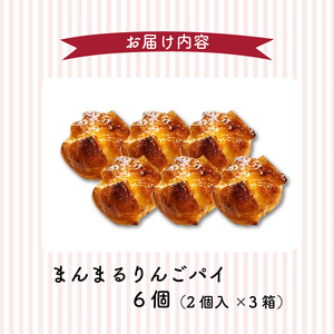 【ナチュラルファーム菓樹】まんまるりんごパイ 6個（2個入×3箱） _NK1206