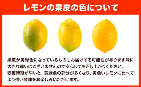レモン 約2kg と 手搾り100％レモン果汁 1本 セット《12月中旬‐2月末頃出荷》熊本県 玉名郡 玉東町 菅本果実園 檸檬 レモンジュース レモネード はちみつレモン