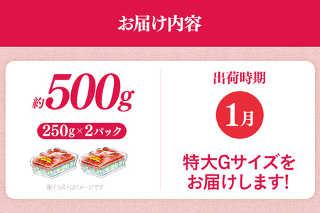 福岡県産 あまおう 500g （250g×2パック） いちご 1月以降順次発送 いちご 苺 フルーツ 果物 くだもの 大粒Gサイズ グランデ 農家直送 大粒 不揃い 福岡県 福岡 九州 グルメ お取り寄せ