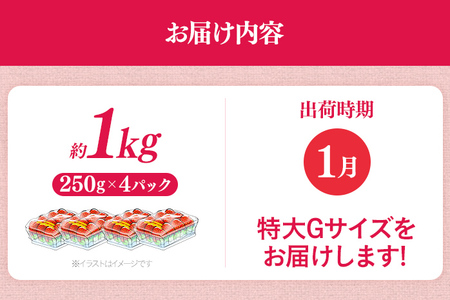 福岡県産 あまおう 1000g （250g×4パック） いちご 1月以降順次発送 いちご 苺 フルーツ 果物 くだもの 大粒Gサイズ グランデ 農家直送 大粒 不揃い 福岡県 福岡 九州 グルメ お取り寄せ