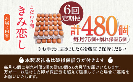 【6回定期便】きみ恋し 80個（75個+割れ保証5個）×6ヶ月 総計480個[AFAJ013]