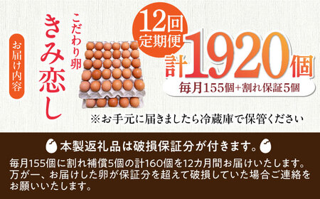 【12回定期便】きみ恋し 160個（155個+割れ保証5個）×12ヶ月 総計1920個[AFAJ018]