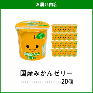 愛知ヨーク　国産みかんゼリー　20個入　ゼリー デザート 国産果汁 アレルギー不使用 健康 給食 保育園 幼稚園 小学校 中学校 支援学校 病院 高齢者施設[108A03]