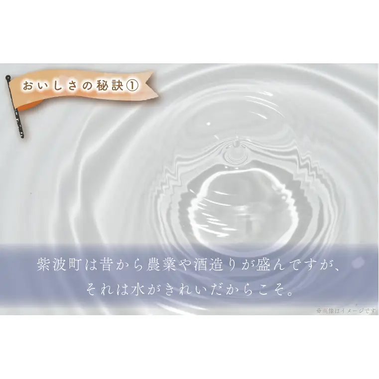 【定期便 3ヶ月】無洗米 令和7年産 銀河のしずく 10kg AE196 無洗