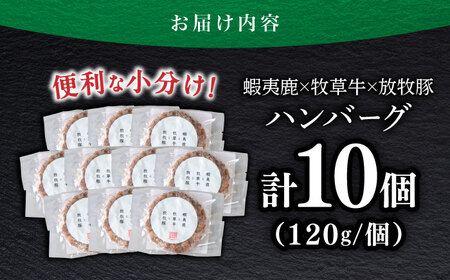【蝦夷鹿×牧草牛×放牧豚】ハンバーグ 10個  鹿肉 牛肉 豚肉 小分け 冷凍 北海道 [AXBP004]