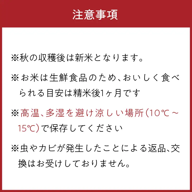 【令和8年】コシヒカリ 玄米 20kg コシヒカリ 京丹後市