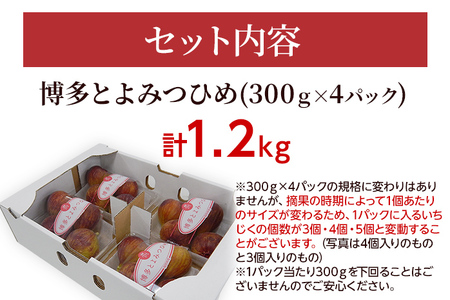 いちじく とよみつひめ 計1.2kg R8年7月下旬以降発送 福岡限定ブランドいちじく