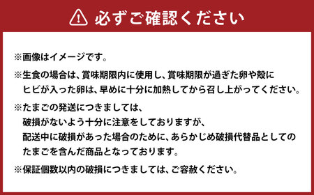 「 ホソヤさんちのいきいき卵 」菊川の耀たまご 40個 （ 割れ補償 5個含む ） セット｜ 化粧箱入 たまご 卵 玉子 生卵 静岡 国産