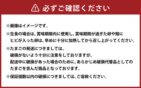 【 3ヶ月定期便 】「 ホソヤさんちのいきいき卵 」40個 （割れ補償 5個含む）セット ×3回 計120個 ｜ 静岡産まれ 菊川の耀たまご 化粧箱入 たまご 卵 玉子 生卵 静岡 国産 定期便