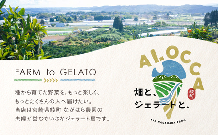 日時指定可能◎オーガニックタウン綾町から届く、季節のクラフトジェラート〈８個セット〉_0093-001