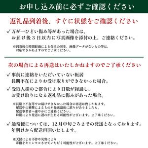 【 美味しい ネギ 】 難波葱 2kg ネギ