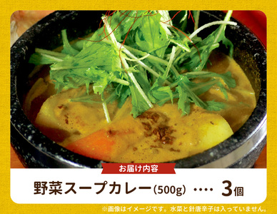 【ナチュラルファーム菓樹】農園野菜スープカレー 3個セット _NK0106