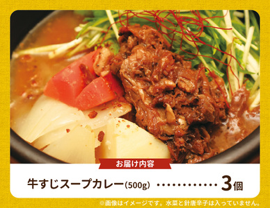 【ナチュラルファーム菓樹】牛すじスープカレー 3個セット _NK0406