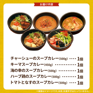 【ナチュラルファーム菓樹】スープカレー 5種セット _NK0906