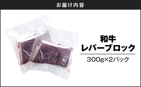和牛レバーブロック600g（300g×2パック） K002-040 肉 牛肉 冷凍