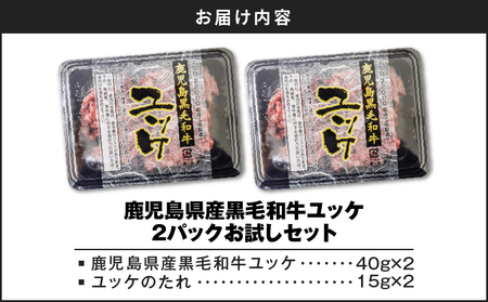 鹿児島県産黒毛和牛ユッケ 2Pお試しセット K002-037 肉 牛肉 冷凍
