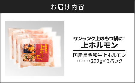 もつ鍋 ホルモン 小腸 600ｇ （200g×3パック） 【 上ホルモン ワンランク上のもつ鍋に！】 K002-004_01 肉 牛肉 冷凍