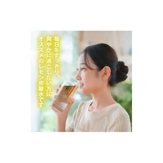 炭酸水 定期便 毎月 12回 レモン 500ml×24本 ソーダ 瀬戸内産 レモンエキス