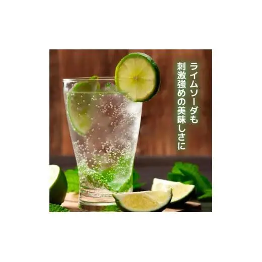 炭酸水 定期便 隔月 6回 500ml×24本 ソーダ