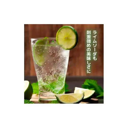 炭酸水 定期便 毎月 12回 500ml×24本 ソーダ
