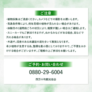 四万十町遠山植物観察会　体験チケット（1～5名様）／Mkk-33