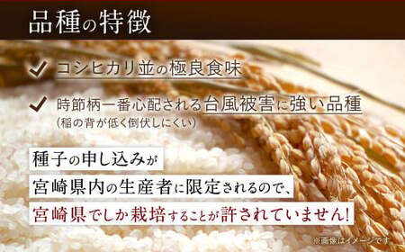 【3か月定期便】 無洗米 ＜チャック付＞ 米 国産 令和7年産 夏の笑み 宮崎県産（ 計10kg×3回）