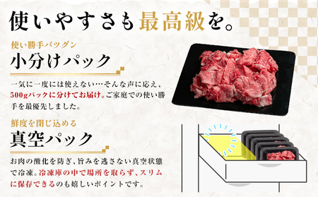 牛肉 鹿児島県産切り落とし肉 1kg(500g×2) 牛肉《30日以内に出荷予定(土日祝除く)》