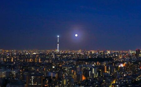 宿泊券 サンシャインシティプリンスホテル パノラマフロア トリプルルーム 1泊 朝食付き 宿泊 ご招待券 (1室3名さま) ホテル チケット 池袋 高層階 夜景 宿泊 旅行券 ホテル券 ギフト券 豊島区 東京