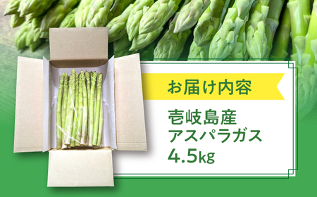 【アスパラガス専門農家が作る！】壱岐産アスパラガス4.5kg  ≪壱岐市≫【きたじま農園】 国産 冷蔵配送 産地直送 朝採れ 新鮮 [JGI001]