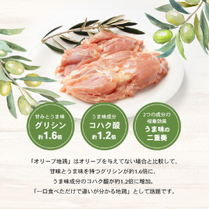 【 小豆島 】香川県のブランド地鶏 オリーブ地鶏のトマト煮 3個セット レトルト レトルト食品 オリーブ地鶏 地鶏 鶏 とり トリ トマト煮 オリーブ トマト 簡単調理 惣菜 パスタ 庄八 香川 香川県 土庄 土庄町