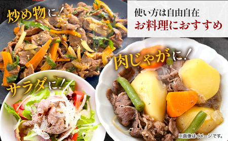 【A4～A5】くまもと黒毛和牛 切り落とし 1kg 《30日以内に出荷予定(土日祝除く)》 牛肉 くまもと黒毛和牛 黒毛和牛 冷凍庫 切り落とし