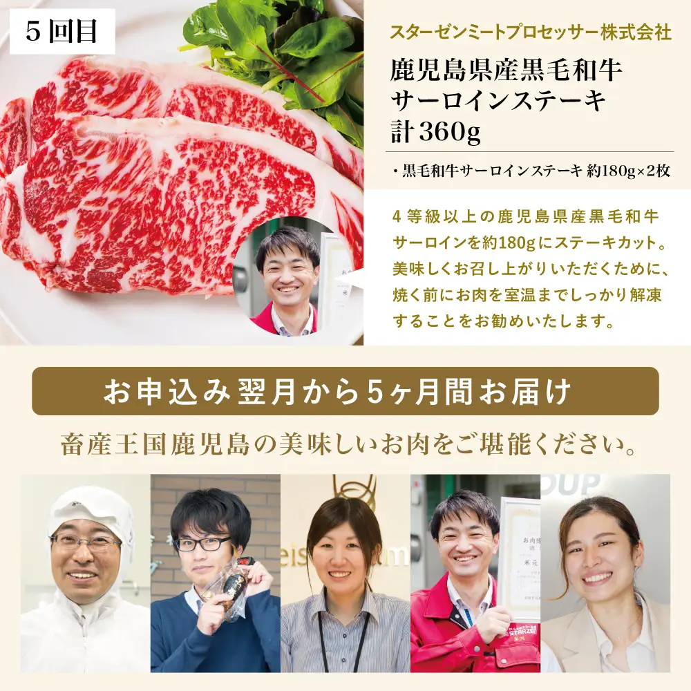 【お試し版】オールスター厳選お肉定期便（全5回） 牛肉 豚肉 すき焼き しゃぶしゃぶ 赤身 焼肉 冷凍 定期便 鹿児島 南さつま市
