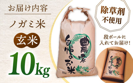 玄米 10kg [ADAU010] 玄米