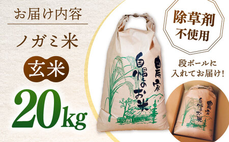 玄米 20kg ノガミファーム お米 桂川町/NOGAMI FARM [ADAU012]