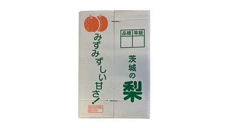【 2026年9月下旬発送開始 】 茨城県産 梨 新高 （約 5kg ） 6～12玉