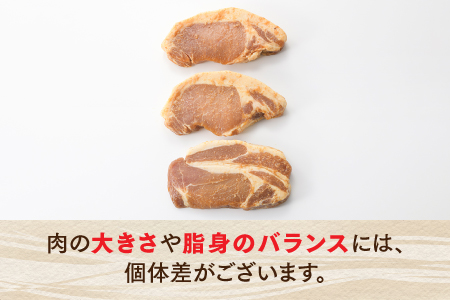 A1449.九州産黒豚ロースプルコギ漬け込みセット（750g）