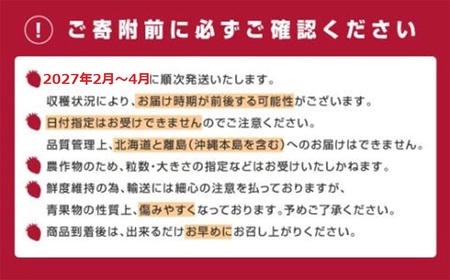 ZI368.人気№１獲得謝礼品★限定品★あまおう約８１０g（先行受付．２０２７年２月以降発送）