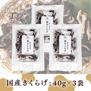 きのこ 国産 きくらげ(計120g・3袋)【九南サービス(タマチャンショップ)】A501