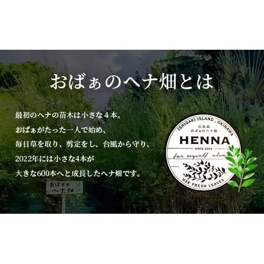 「石垣島産 ヘナ石鹸（大）100g×1個、(小)50g×3個セット」　NE-4